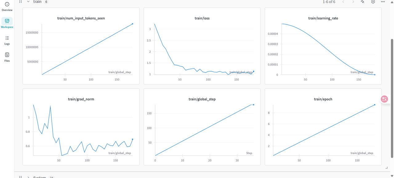WanDB Train — /dev/shm