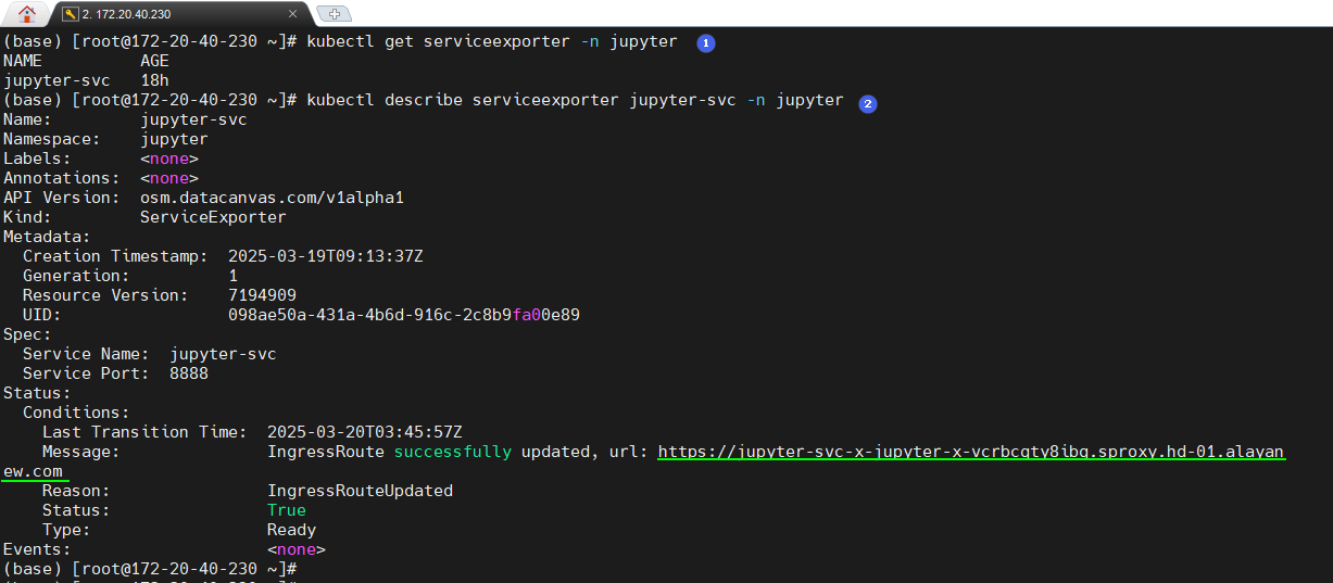 Describe ServiceExport